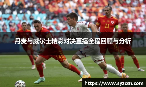 丹麦与威尔士精彩对决直播全程回顾与分析